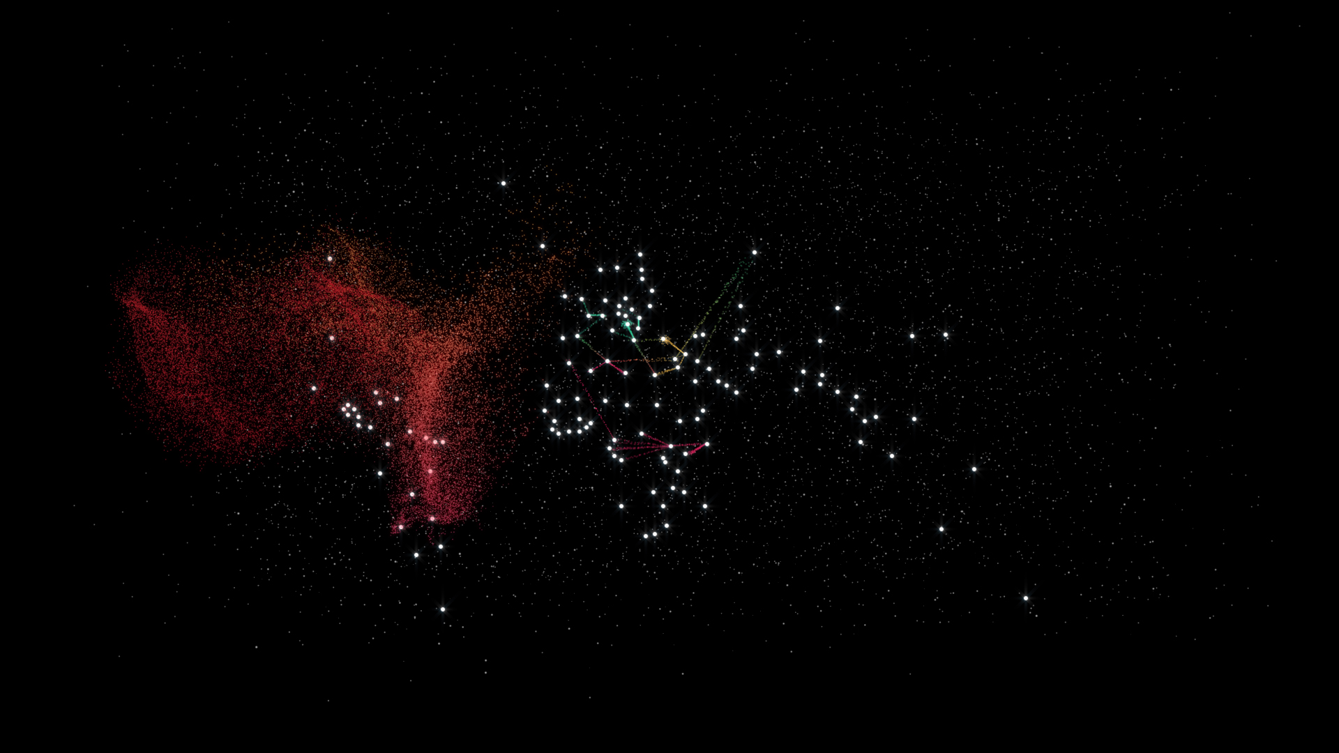 bird_migration_6